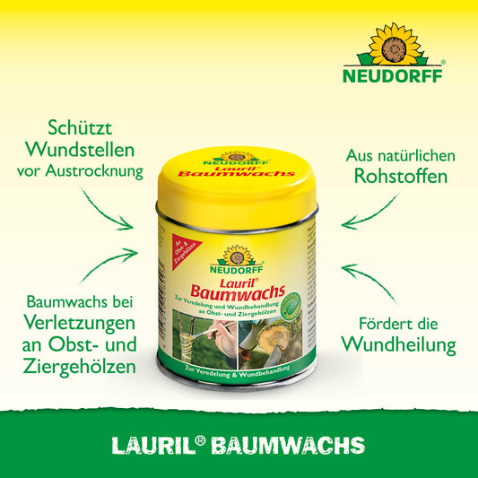Ein Behälter des Neudorff Shop Lauril Baumwachs ist mit dem Etikett nach vorne gerichtet und mit Text und Pfeilen versehen, die seine Vorteile hervorheben: Schutz von Baumwollwunden, Verwendung natürlicher Rohstoffe und Unterstützung der Wundheilung von Bäumen und Sträuchern.