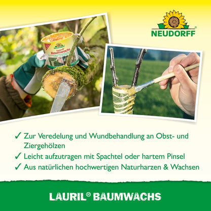 A person applies Lauril tree wax from the Neudorff Shop to a tree branch with a spatula. The product container can be seen with a note on its use for grafting, tree wound care, tree wounds, and the treatment of fruit trees.