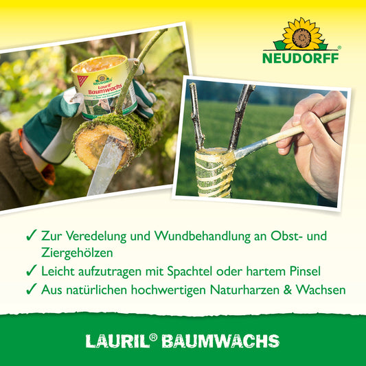Eine Person trägt das aus natürlichen Rohstoffen hergestellte Lauril Baumwachs von Neudorff Shop mit einem Spatel auf einen abgeschnittenen Ast auf; ein anderes Bild zeigt das Wachs auf einem veredelten Ast, wobei auch die Verpackung und die Produktangaben zu sehen sind.