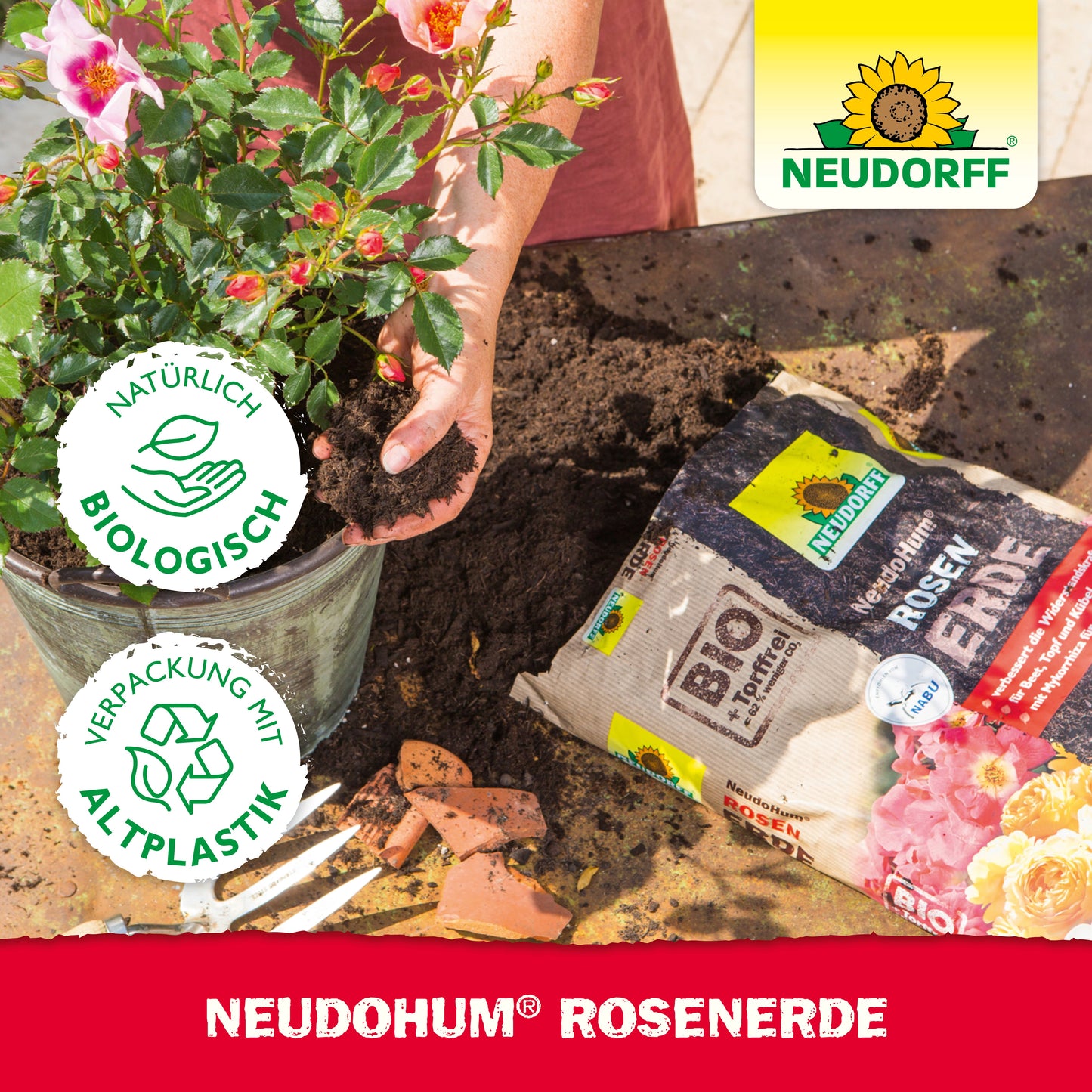 Eine Person pflanzt eine blühende Rosenpflanze mit NeudoHum RosenErde aus dem Neudorff Shop; auf dem Tisch und in der rechten oberen Ecke befinden sich der Erdesack, Terrakotta-Scherben, zwei Zertifizierungssymbole und das Neudorff-Logo.