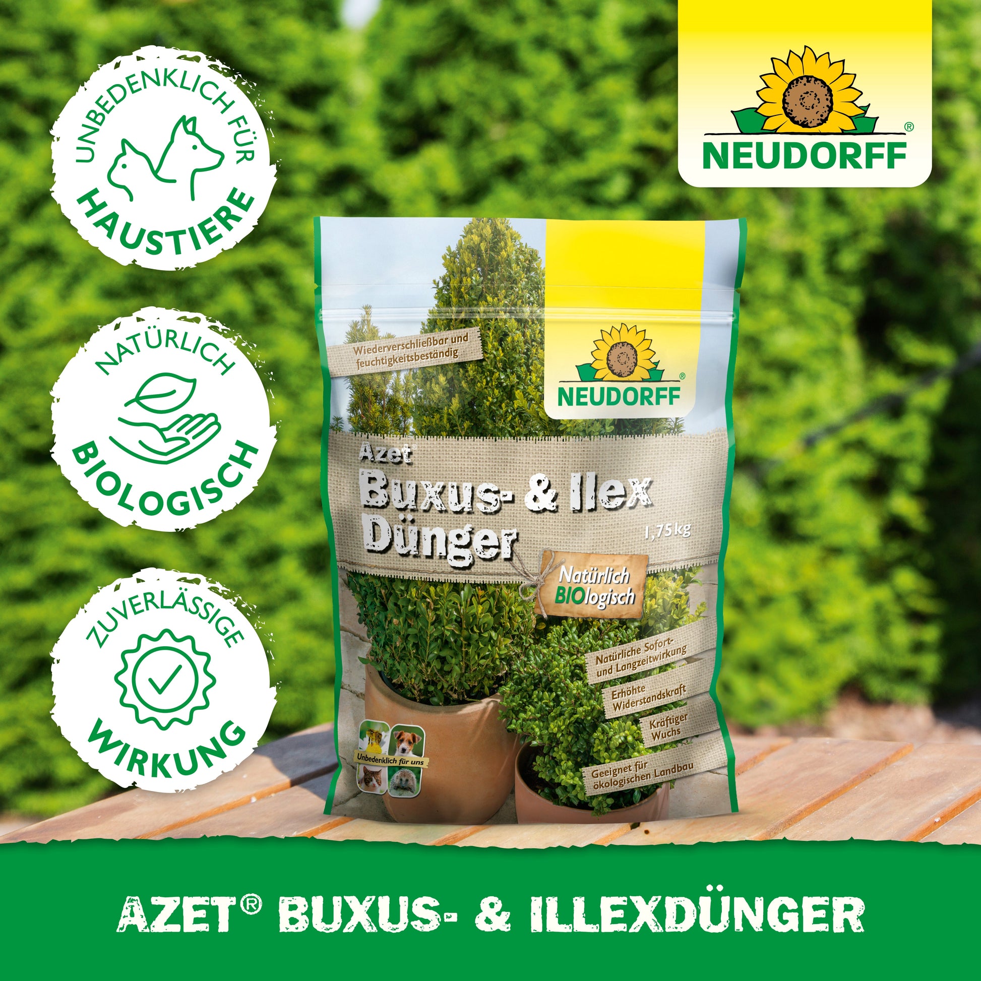 Ein Beutel Neudorff Shop Azet Buxus- & IlexDünger, ein organischer Dünger für Buchsbäume und Stechpalmen, steht im Freien auf einem Tisch. Die Verpackung weist auf die Unbedenklichkeit für Haustiere und natürliche Inhaltsstoffe hin, während im Hintergrund üppige grüne Sträucher zu sehen sind.
