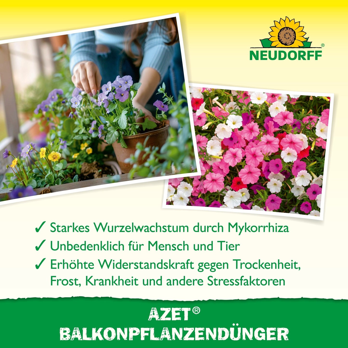 A person plants vibrant summer flowers in a pot. Next to it, blooming petunias are seen in close-up. The text below introduces Azet Balcony Plant Fertilizer from Neudorff Shop, an organic complete fertilizer, perfect for balcony boxes.