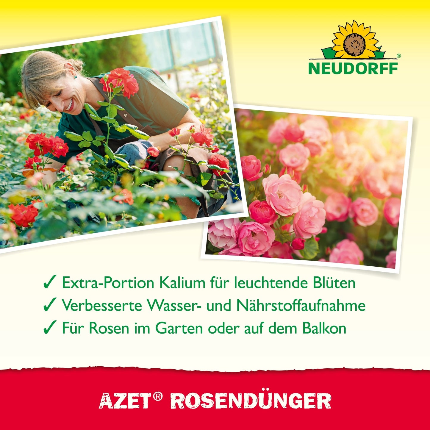 A woman smiles among blooming roses in a garden, fertilizing with Neudorff Shop Azet Liquid Rose Fertilizer. Next to her appears a close-up of pink roses, while the text below describes the benefits for healthy, vibrant rose growth.