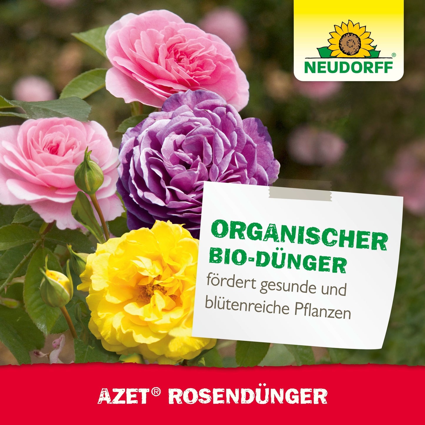 A label for Azet Liquid Rose Fertilizer from Neudorff Shop shows pink, purple, and yellow roses, the Neudorff logo, and the inscription "Organic bio-fertilizer promotes healthy and flowering plants."