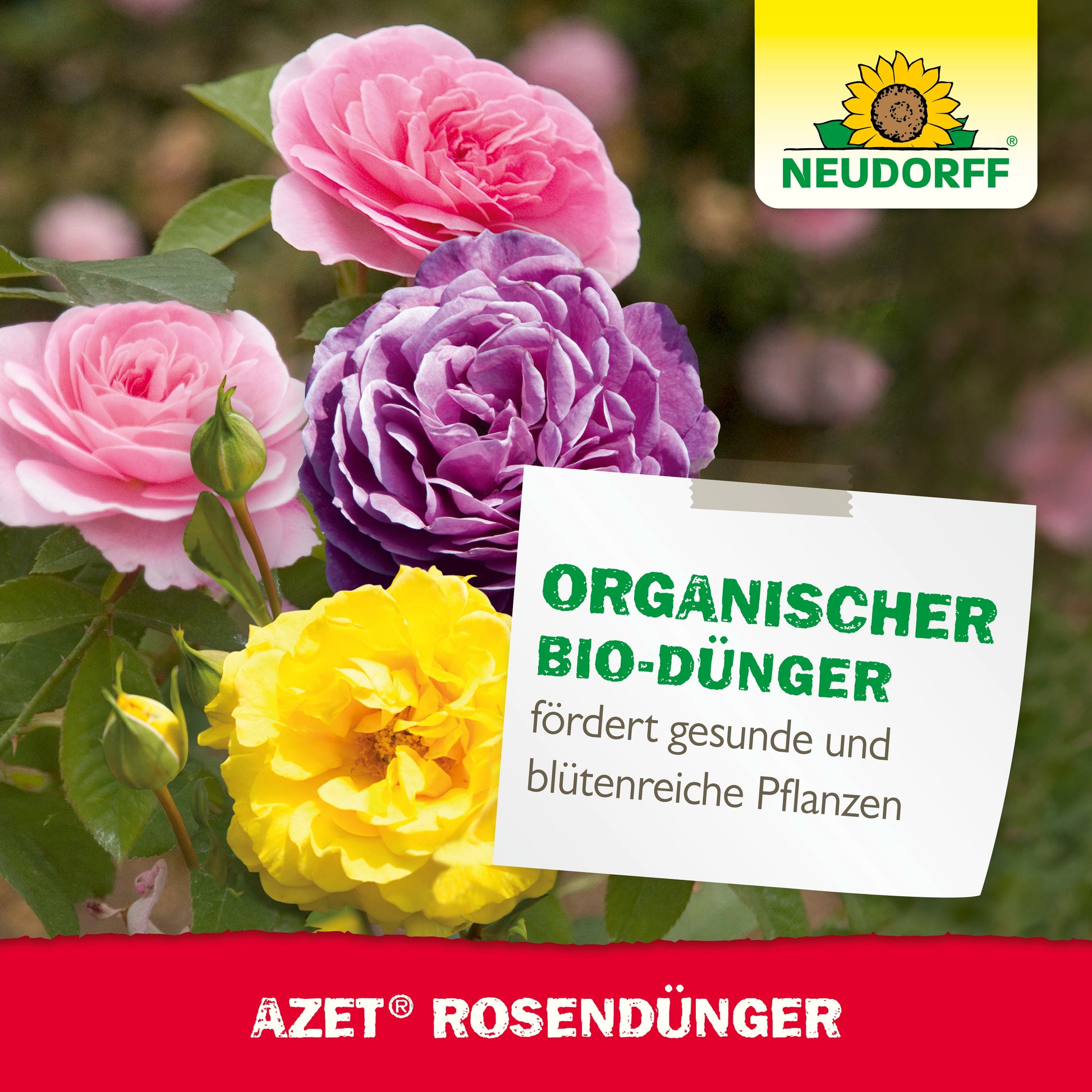 Ein Etikett für Azet RosenDünger flüssig von Neudorff Shop zeigt rosa, lila und gelbe Rosen, das Neudorff-Logo und die Aufschrift "Organischer Bio-Dünger fördert gesunde und blütenreiche Pflanzen".