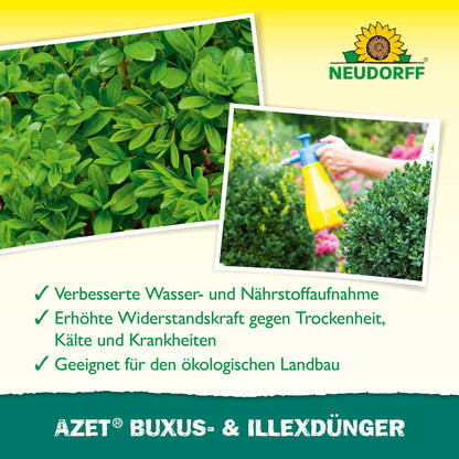 A person sprays a yellow bottle of Azet Buxus- & IlexFertilizer liquid from Neudorff Shop on a round, green shrub - ideal for evergreen container plants. Above is a close-up of the green leaves, with German text highlighting the product's benefits.