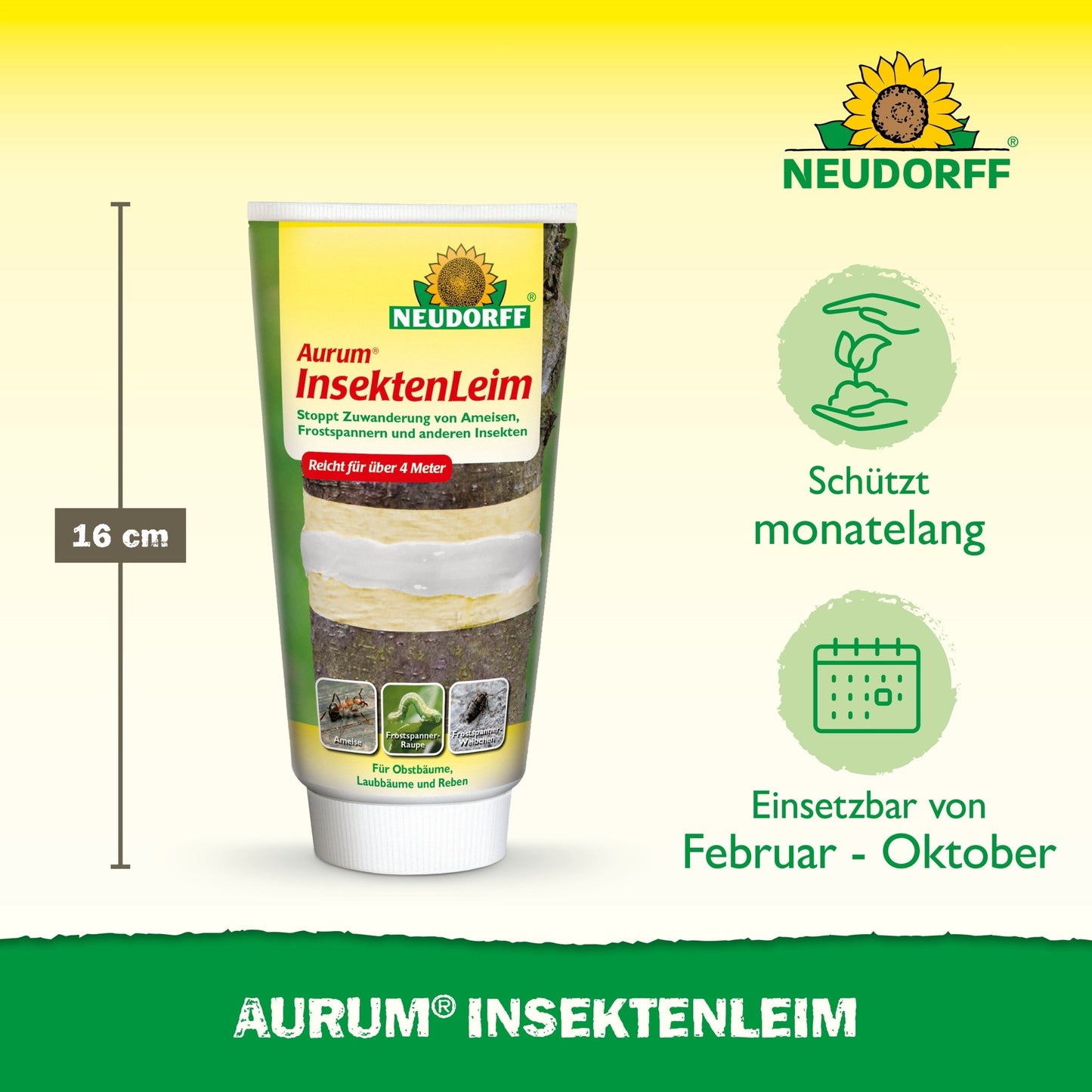 Pictured is a 16-cm tube of Neudorff Shop Aurum Insect Glue. The packaging highlights the long-lasting protection of fruit trees from pests like winter moths and ants, which can be applied from February to October, with green symbols indicating effectiveness.