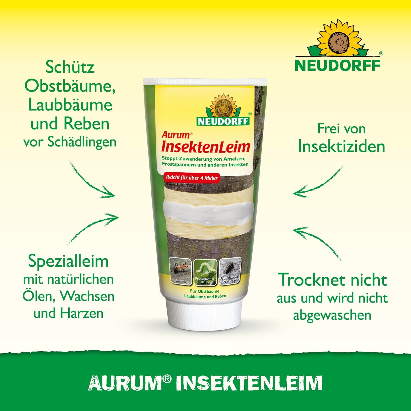 A tube of Aurum Insect Glue from Neudorff Shop stands upright and carries German text for protecting fruit trees from ants and winter moth females. The Neudorff logo can be seen at the top on the green-yellow background.