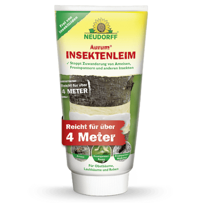 Aurum Insect Glue from Neudorff Shop effectively protects fruit trees from ants and pests - without insecticides, works over 4 meters. The packaging shows a tree wrapped with glue.