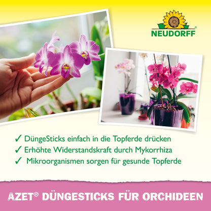 Two photos of blooming orchids in pots. The German text advertises Azet fertilizer sticks for orchids from Neudorff Shop and highlights their benefits. The Neudorff logo is visible in the top right - for exotic bloom splendor.