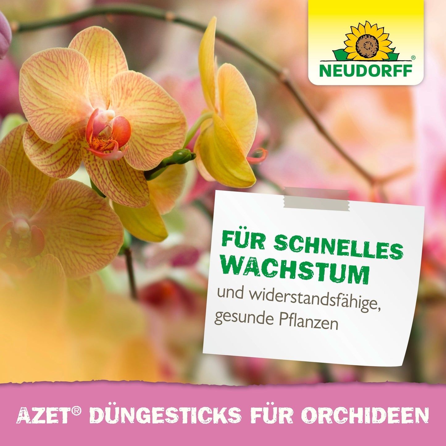 A close-up of yellow and pink orchid blooms with the Neudorff Shop logo and text promoting Azet fertilizer sticks for orchids for fast growth and healthy, resilient plants. The blurred background is in green and pink tones.