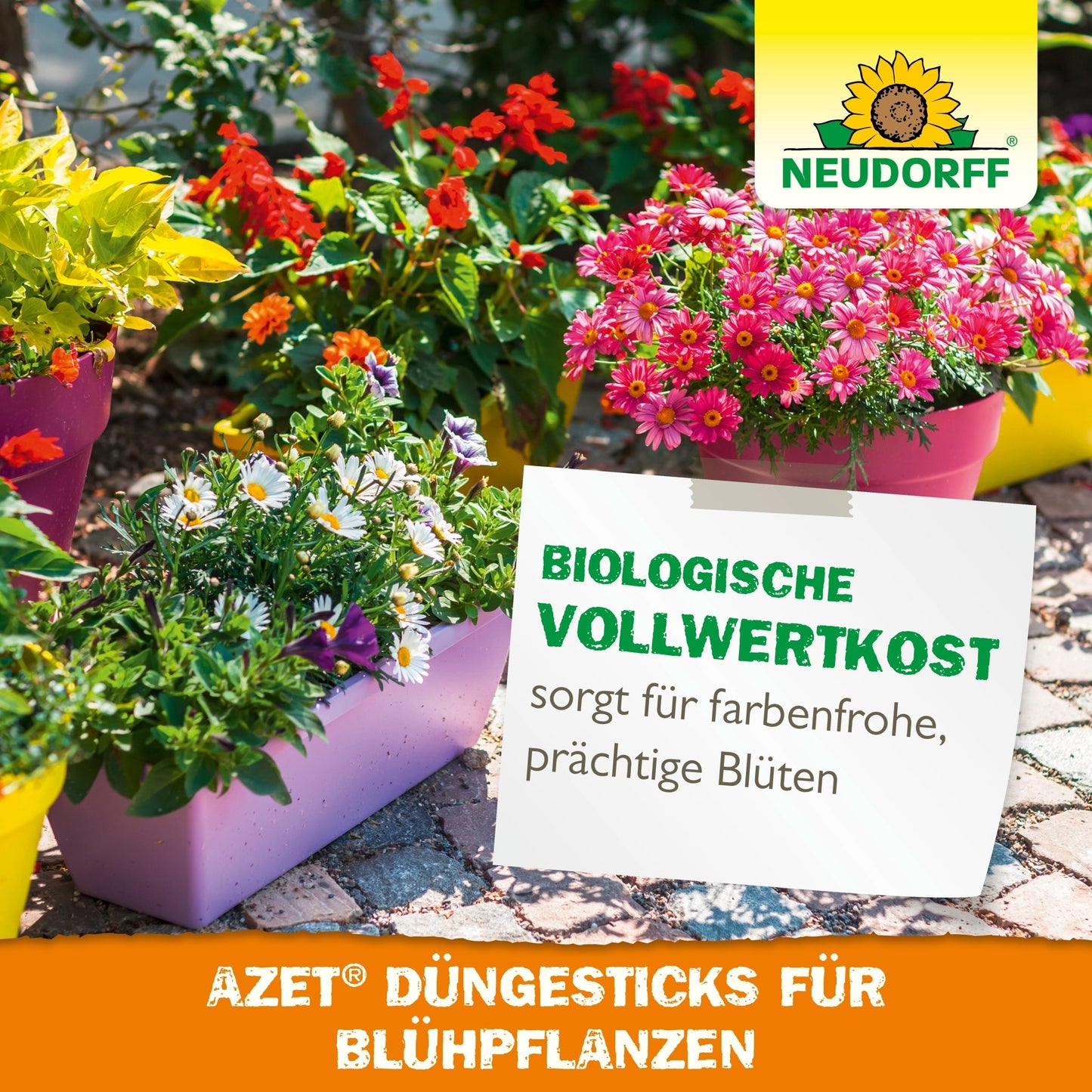 Colorful blooming and green plants are in rectangular containers outdoors. A sign advertises Neudorff Shop Azet Fertilizer Sticks for flowering plants as "biological whole food" for vibrant, lush blooms.