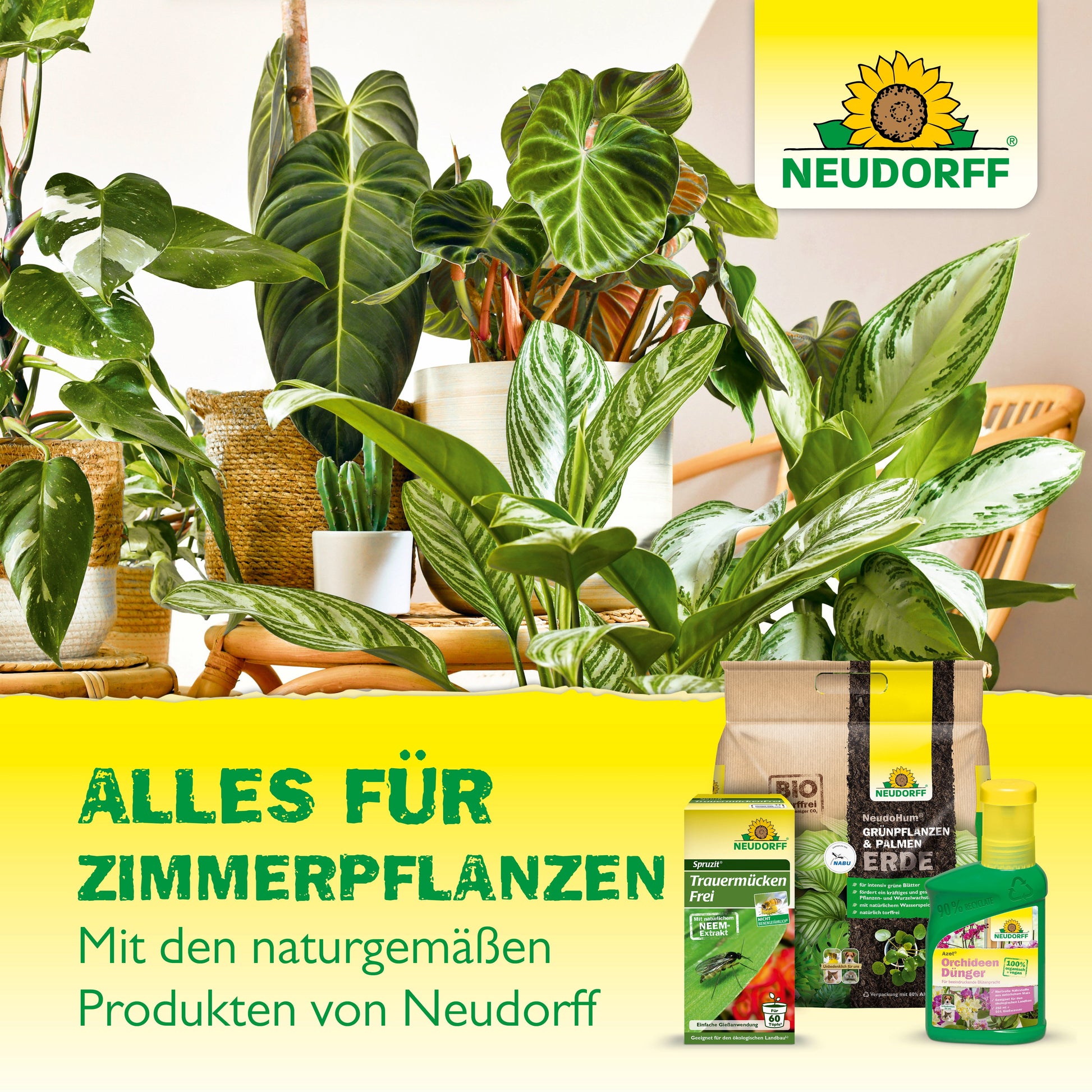 Mehrere getopfte grüne Zimmerpflanzen stehen in Gruppen zusammen. Im Vordergrund sind Pflanzenprodukte aus dem Neudorff Shop zu sehen, darunter Erde, Dünger, Spritzmittel und Duo-Haftfallen zur Bekämpfung von Thripsen. Oben rechts erscheinen ein deutscher Text und das Neudorff-Logo.
