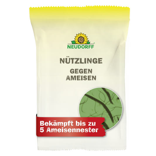 Eine weiße Packung mit gelbem Deckel aus dem Neudorff Shop mit der Aufschrift "Nützlinge gegen Ameisen" zeigt vergrößerte Insekten. Auf einem roten Aufkleber steht: "Bekämpft bis zu 5 Ameisennester" - mit Nematoden effektiv Ameisen bekämpfen.