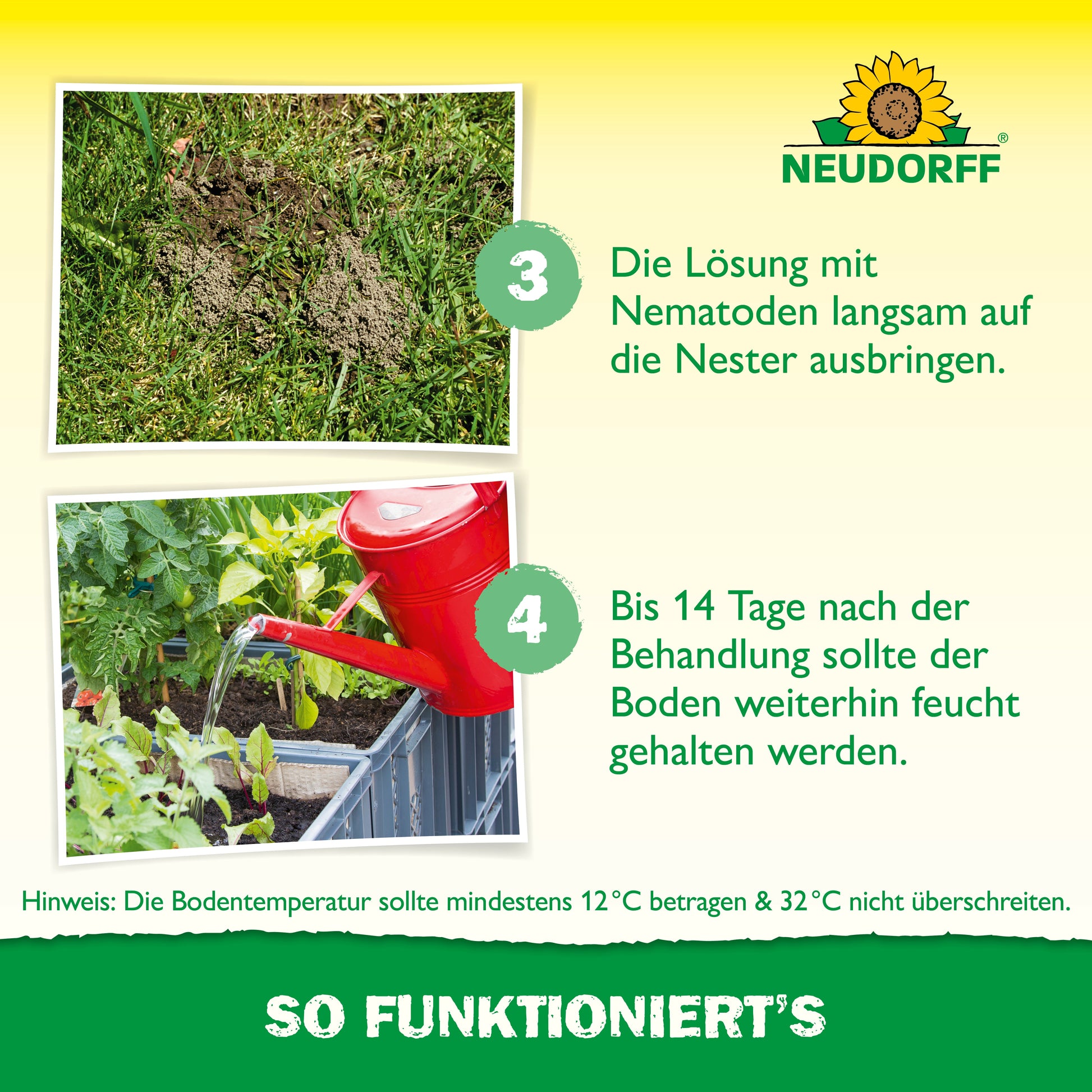 Eine Hand gießt Gartenerde mit einer roten Kanne. Der deutsche Text erklärt, wie die Nützlinge gegen Ameisen von Neudorff Shop bei der Ameisenbekämpfung helfen und rät, die Erde bis zu 14 Tage lang feucht zu halten, um optimale Ergebnisse zu erzielen.