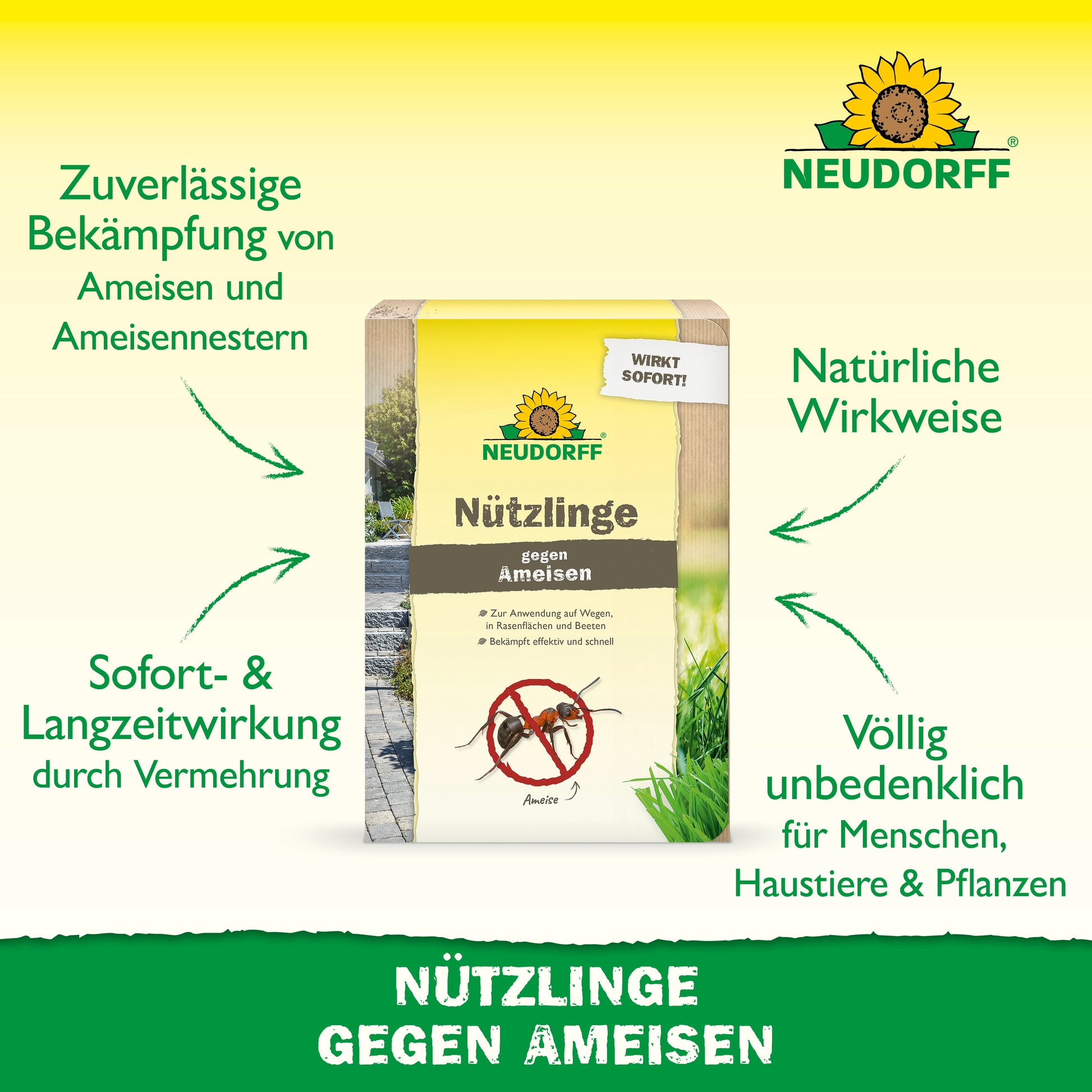 Eine Packung Neudorff Shop Nützlinge gegen Ameisen steht auf einer Wiese und weist auf die wirksame, natürliche Wirkung gegen Ameisennester, die sofortige und langfristige Wirkung sowie die Sicherheit für Menschen, Haustiere und Pflanzen hin.