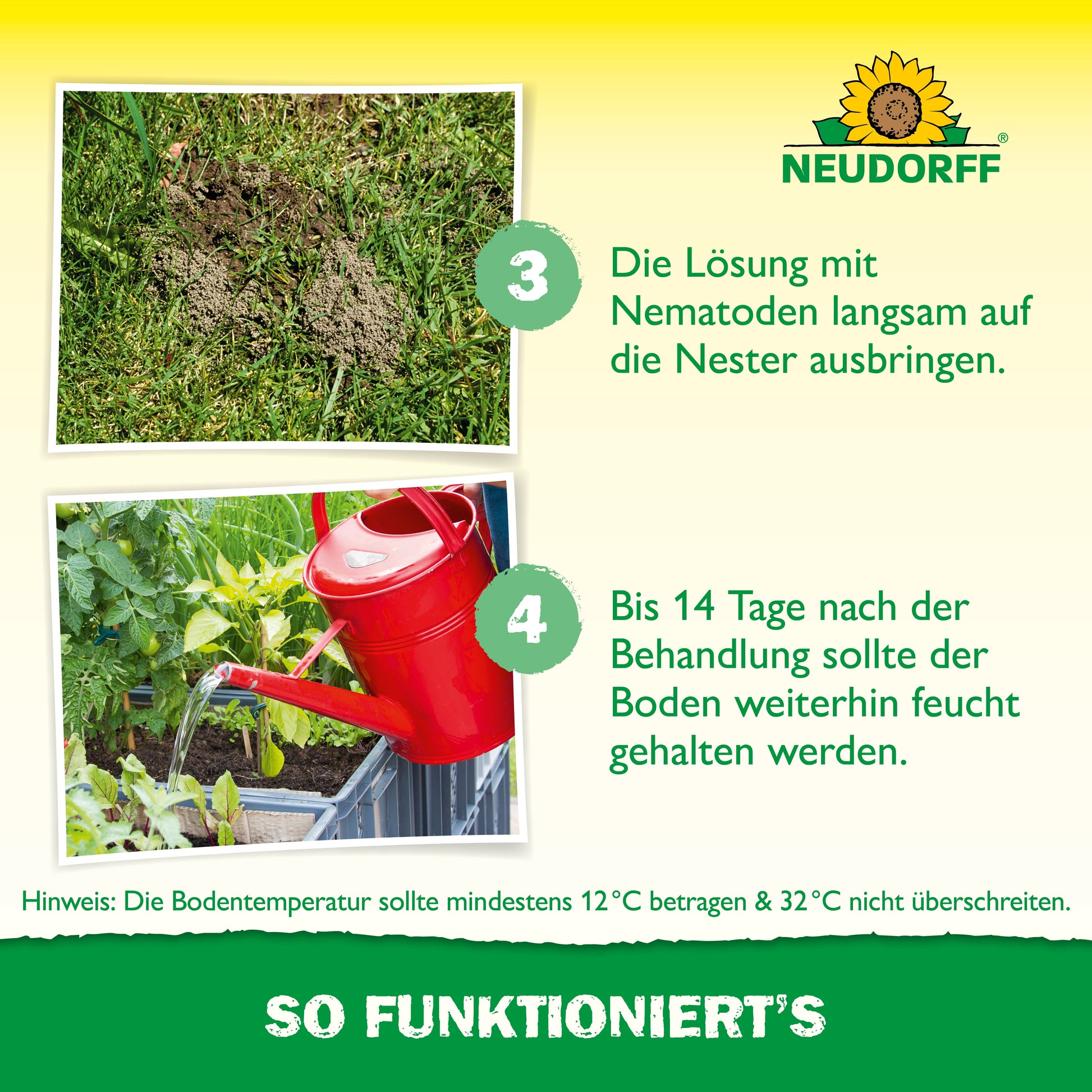 Eine Nahaufnahme zeigt, wie Nützlinge gegen Ameisen aus dem Neudorff Shop auf Ameisennester aufgetragen werden, gefolgt von der Bewässerung mit einer roten Gießkanne - Schritte zur effektiven Ameisenbekämpfung. Eine deutsche Textanleitung liegt bei.