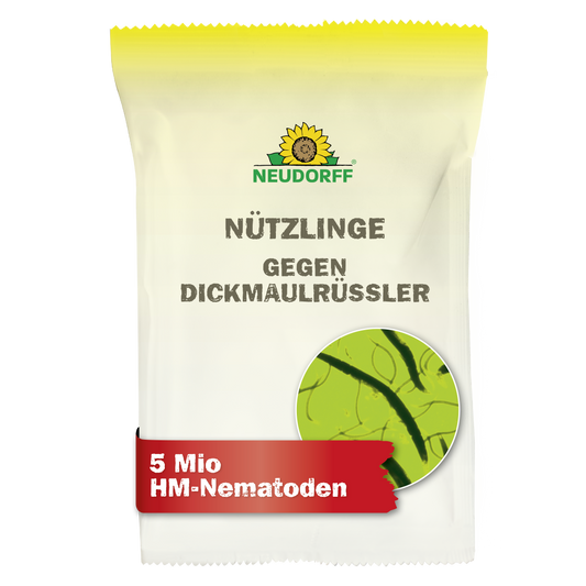 Eine weiße Verpackung mit der Aufschrift "Nützlinge gegen Dickmaulrüssler" aus dem Neudorff Shop zeigt einen kreisförmigen Aufdruck mit Nematoden zur natürlichen Schädlingsbekämpfung und hebt "5 Mio HM-Nematoden" zur Bekämpfung von Engerlingen hervor.