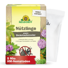 Eine Schachtel Neudorff Shop Nützlinge gegen Dickmaulrüssler zur Bekämpfung des Reblausbefalls mit Pflanzen, Insekten und Produktinformation. Ein weißes Tütchen auf der rechten Seite zeigt an, dass 5 Millionen HM-Nematoden enthalten sind.