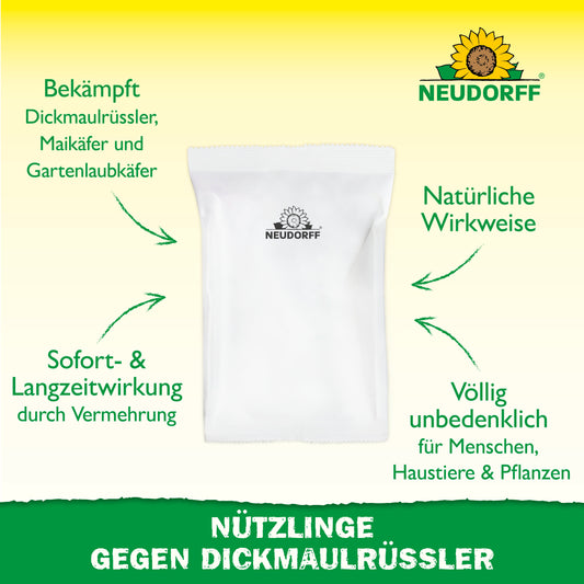Ein weißes Tütchen mit dem Logo des Neudorff Shops ist auf gelbem und grünem Hintergrund zentriert. Der deutsche Text hebt Nützlinge gegen Dickmaulrüssler hervor: natürliche Schädlingsbekämpfung, wirkungsvoll gegen Engerlinge, ungefährlich für Mensch und Tier.