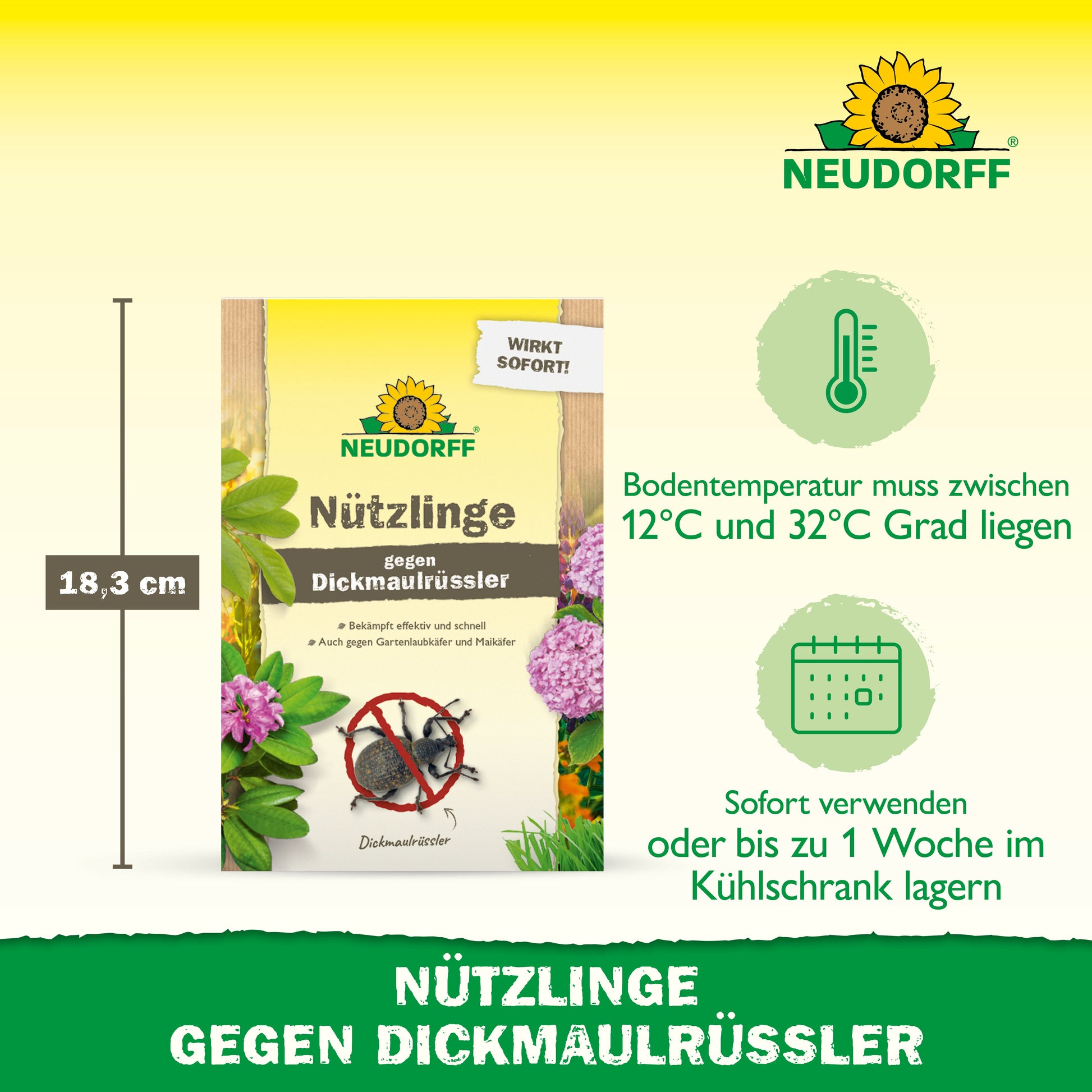 Die Abbildung zeigt Neudorff Shop Nützlinge gegen Dickmaulrüssler zur natürlichen Schädlingsbekämpfung mit Nematoden. Sofort verbrauchen oder bis zu 1 Woche im Kühlschrank aufbewahren; auf eine Bodentemperatur von 12-32°C achten. Verpackungshöhe: 18,3 cm.