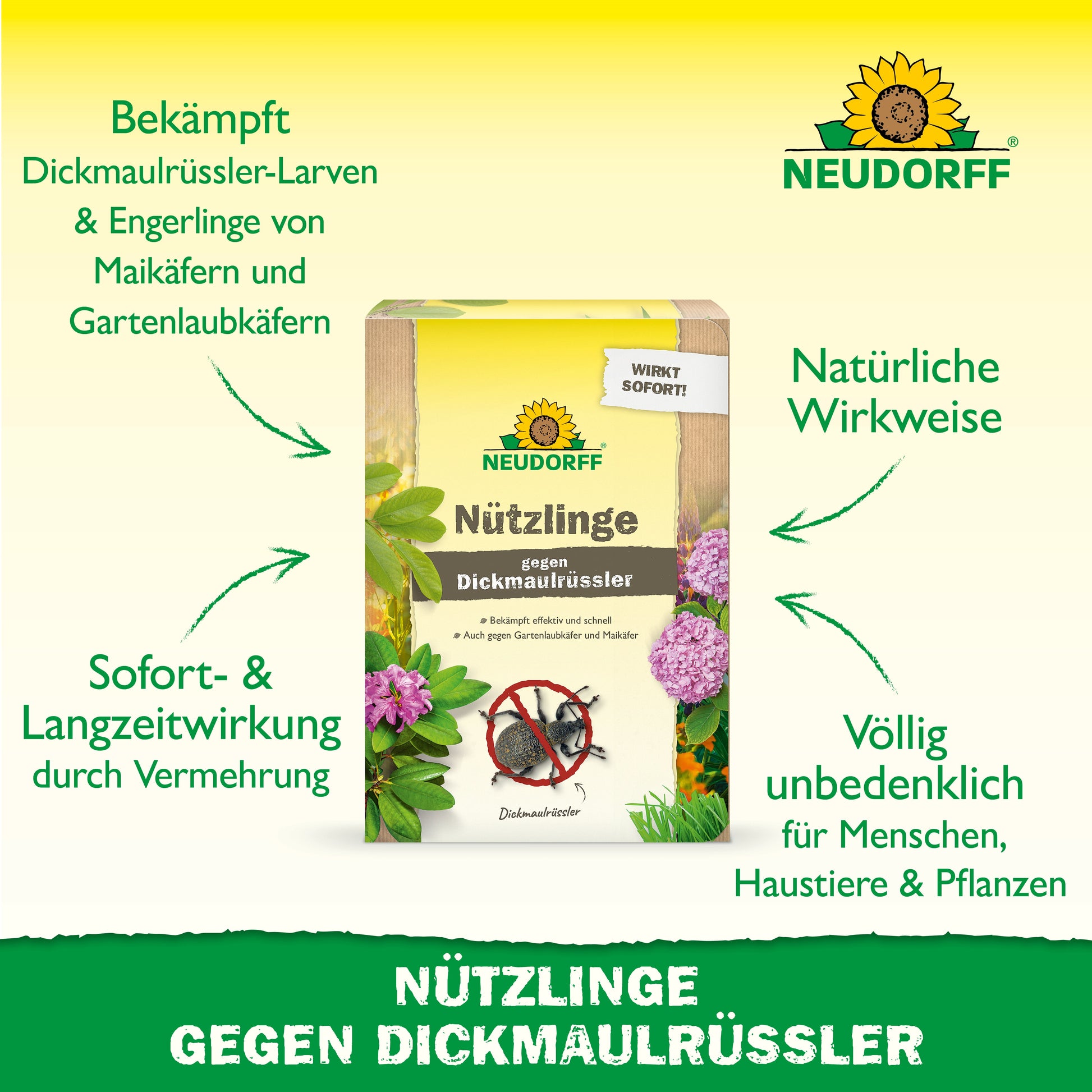 Eine Packung Nützlinge gegen Dickmaulrüssler von Neudorff Shop steht im Fokus, umgeben von Text und Pfeilen, die Vorteile wie natürliche Schädlingsbekämpfung, sofortige Wirkung, Sicherheit und hohe Effektivität zeigen.