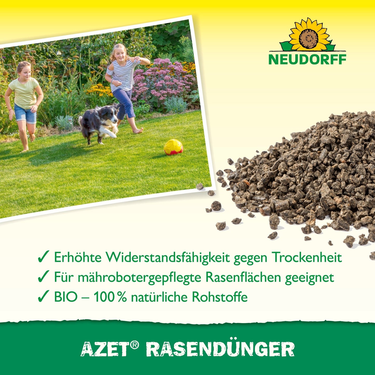 A photo of two children and a dog playing on lush grass with a soccer ball, next to a bag of Neudorff Shop Azet Lawn Fertilizer 2.5 kg to 5 kg. Text highlights benefits for a dense lawn area; Neudorff logo appears at the top right.