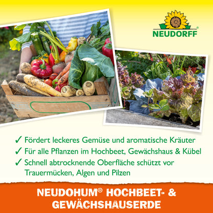 Eine Holzkiste mit frischem Gemüse steht auf einem Gartenweg. Oben präsentieren Hochbeete das Blattgemüse. Der Text hebt die Vorteile von NeudoHum Hochbeet & GewächshausErde von Neudorff Shop für Hochbeete und Gewächshäuser hervor.