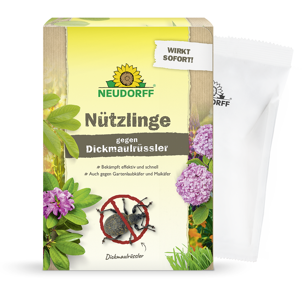 Abgebildet ist eine Schachtel Neudorff Shop Nützlinge gegen Dickmaulrüssler mit Pflanzenabbildungen, einem Käferdiagramm und deutschem Text auf der Verpackung. Grüne Blätter und rosa Blüten sind zu sehen - ideal für alle, die Engerlinge auf natürliche Weise bekämpfen wollen.