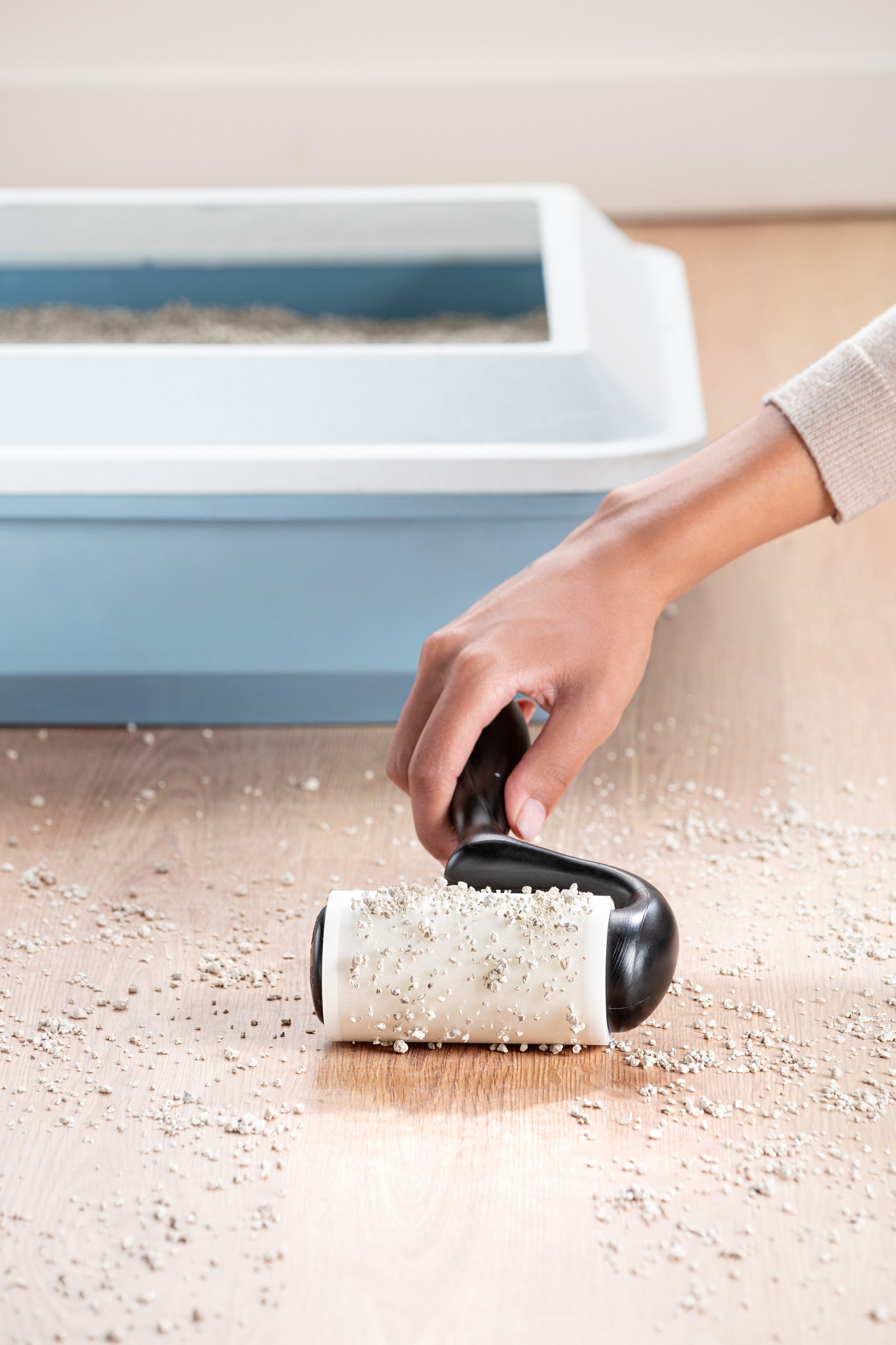 Mit dem Scotch-Brite™ Everyday Clean Fusselroller für flache Oberflächen (56 Blatt, 1 Packung) von 3M Deutschland GmbH, entfernt eine Person verschüttetes Katzenstreu vom Holzboden neben einer blau-weißen Katzentoilette.