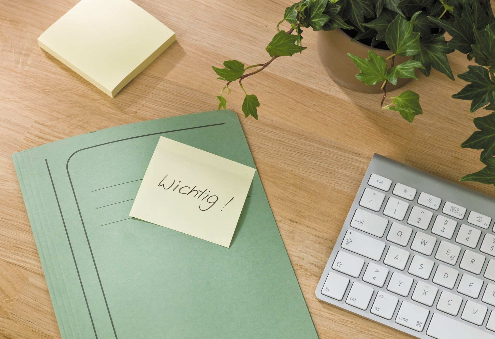 Eine grüne Mappe mit einer Post-it® Recycling Notiz (38mm x 51mm, 100 Blatt, 100% PEFC by 3M Deutschland GmbH) mit der Aufschrift "Wichtig!" liegt auf einem hölzernen Schreibtisch neben einer Tastatur, weiteren Haftnotizen und einer Topfpflanze.