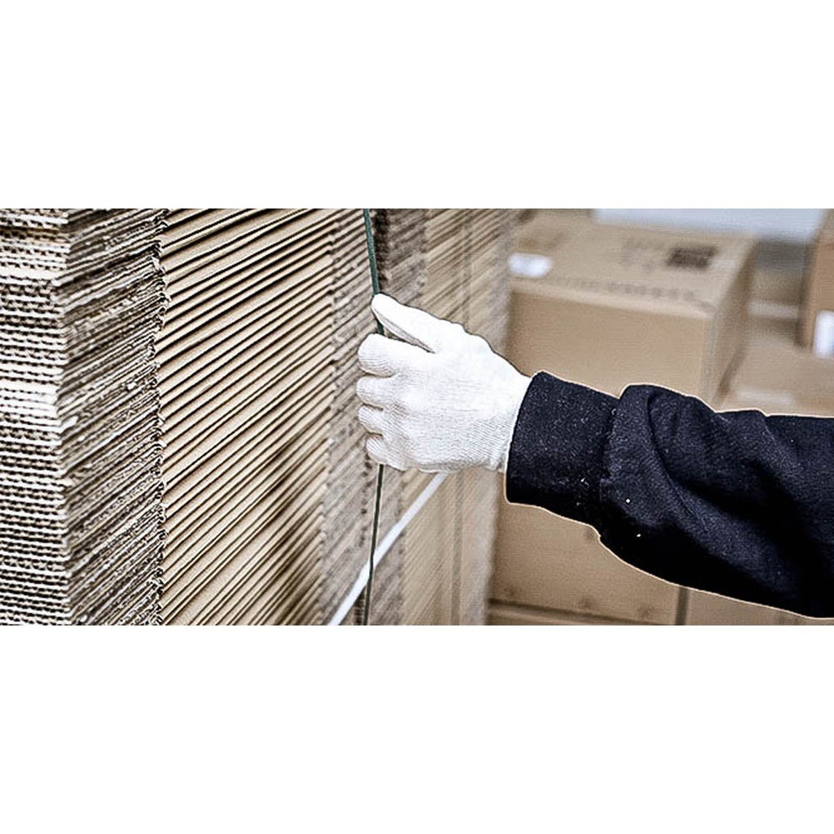 NITRAS cotton jersey gloves, natural cotton jersey | Pack (12 pairs)