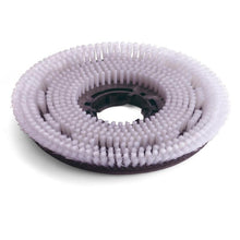 Numatic Octo Nylon Scrub Brush 300mm for TTV678/TVL850 | Pack (1 piece)