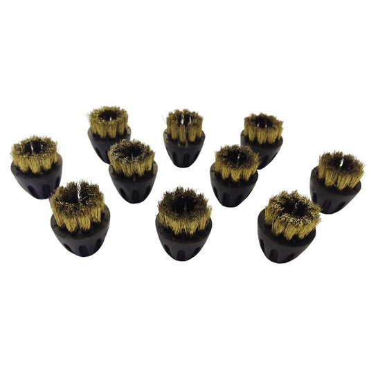 Eine Packung mit 10 Bronzebürsten für den TASKI Steamer (SV4-SDV8) von Diversey Deutschland GmbH & Co. OHG ist abgebildet und zeigt langlebige Messingbürsten mit schwarzen Kunststoffsockeln auf weißem Hintergrund.