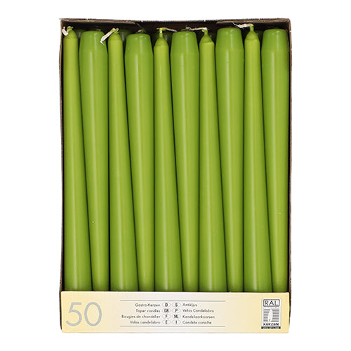 Der Starpak-Karton enthält 50 grüne Leuchterkerzen von je 25 cm Länge und 2,2 cm Dicke, die vertikal angeordnet sind und eine einheitliche Farbe und Größe haben. Die Verpackung ist am Boden mit einem Produktetikett versehen. Marke: Starpak.
