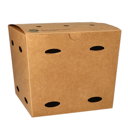 Eine braune Pommes-Frites-Box der PAPSTAR GmbH aus „reiner“ Pappe mit ovalen Belüftungslöchern, fair produziert, abgebildet vor einem schlichten weißen Hintergrund.