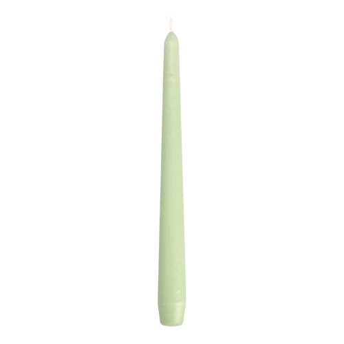 Eine einzelne Starpak 25 cm Kegelkerze (Leuchterkerze), hellgrün und Ø 2,2 cm, steht aufrecht vor einem schlichten weißen Hintergrund.
