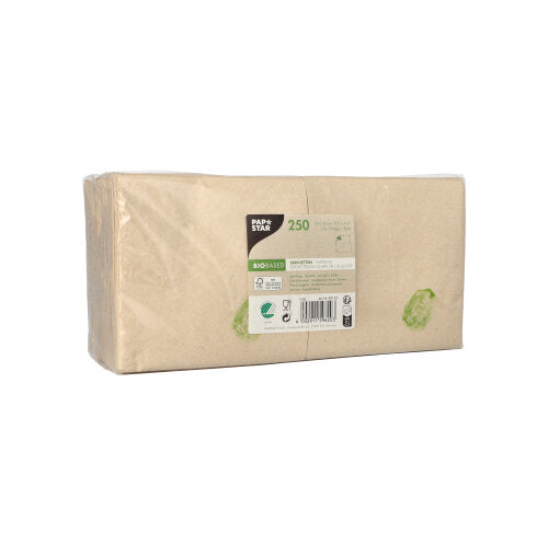 A rectangular pack of 250 2-ply napkins (24 x 24 cm, 1/4-fold) from PAPSTAR GmbH in brown, packaged in transparent foil with product info label, environmental symbols, and green accents.
