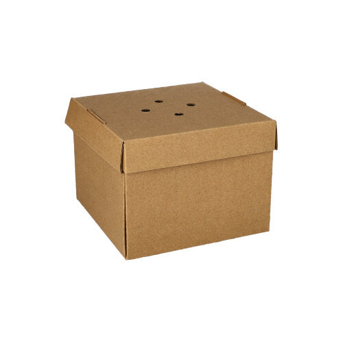 Die Burgerboxen „pure“ (20er-Pack) der PAPSTAR GmbH sind schlichte braune Kartons mit Deckel, der über vier Belüftungslöcher verfügt – praktisch und umweltfreundlich, abgebildet auf weißem Hintergrund.