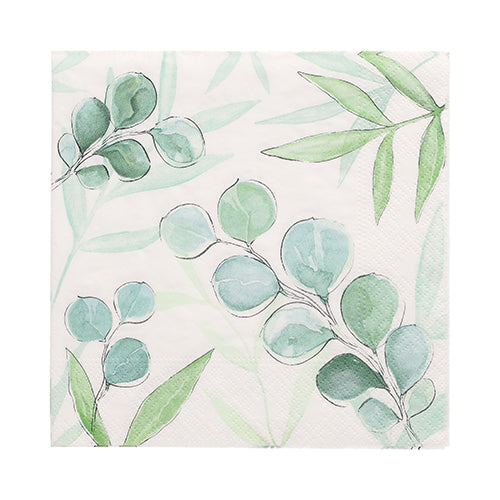 PAPSTAR GmbH 20 Servietten, 33x33 cm, 3-lagig, mit Aquarell-Design aus grünen und blauen Eukalyptusblättern und Zweigen auf weißem Hintergrund (Set 4).