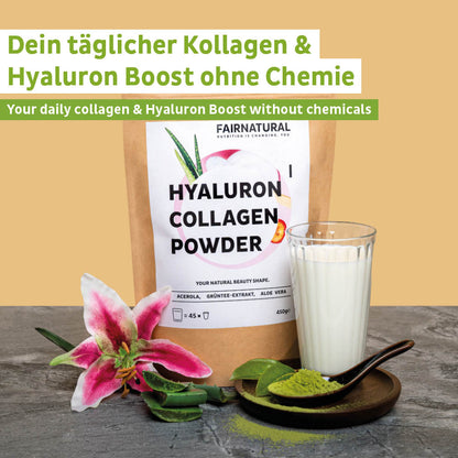 Collagen hyaluronic powder