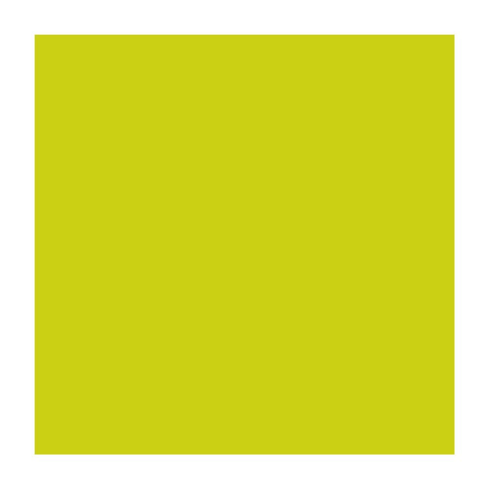 A continuous, light green square, reminiscent of the eco-friendly Duni tissue napkins from Duni GmbH, is centered on a pristine white background.