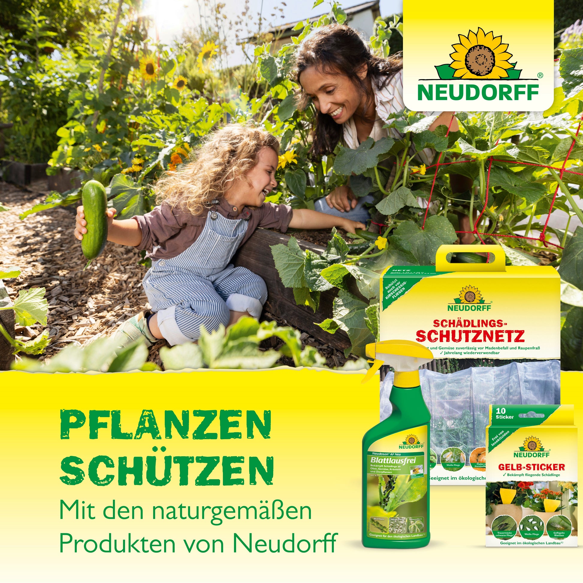 Ein Erwachsener und ein Kind ernten Gurken in einem Garten. Im Vordergrund stehen die Nützlinge gegen Ameisen von Neudorff Shop, die für natürlichen Pflanzenschutz werben.