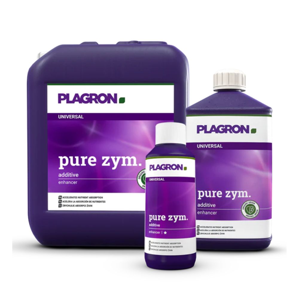 Gezeigt werden drei Behälter mit Plagron Pure Zym von Bertels B.V., einem natürlichen Bodenverbesserer mit Enzymen. Im Hintergrund steht ein großer violetter Kanister, davor eine mittlere und eine kleine Flasche. Jede Flasche hat ein violettes Etikett mit weißem Text.