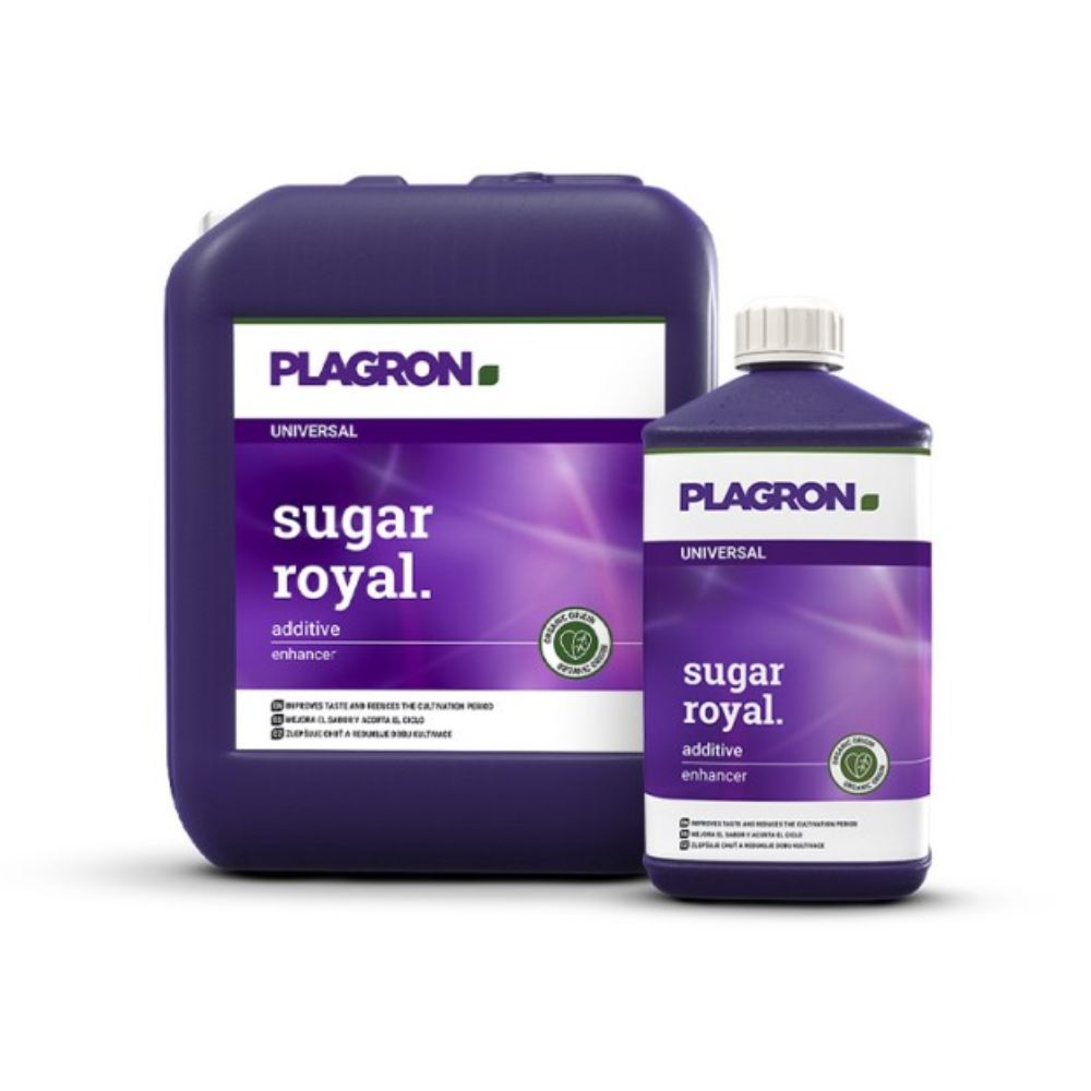 Pictured are two Plagron Sugar Royal - Premium Bloom Enhancer containers from Bertels B.V.: a larger square one and a smaller cylindrical one, both with bright purple labels, white text, and a green logo that guarantees quality enriched with essential amino acids.