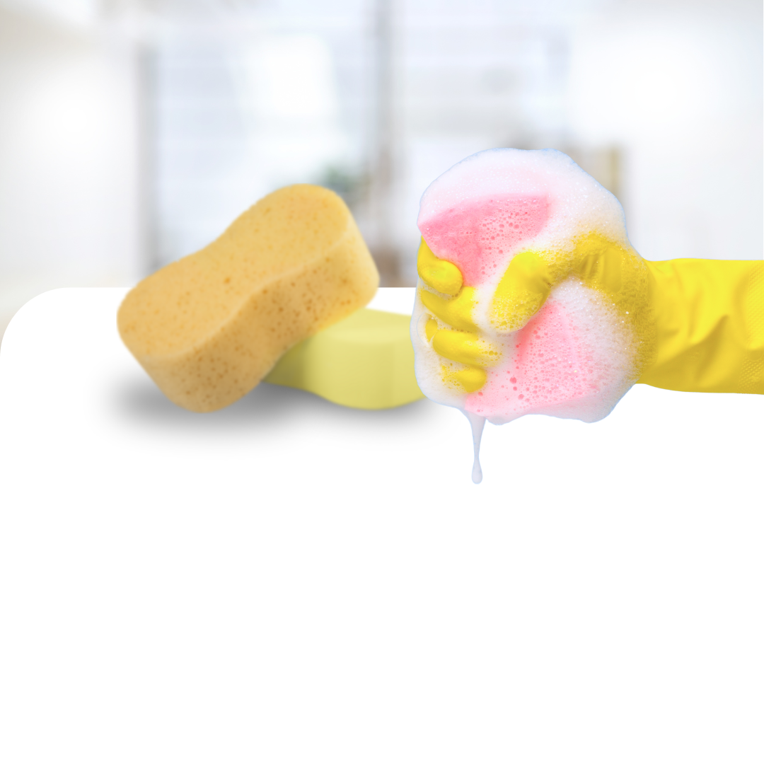 Sponges