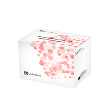 On a green background, there is a white packaging box for the "Detection Set (PCR-Fluorescence) DaAn Gene Diagnostics Kit for 2019-ncov" with 96 tests, adorned with the inscription "Altruan".