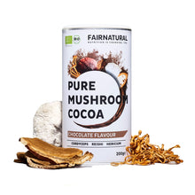 Organic Mushroom Cocoa Powder