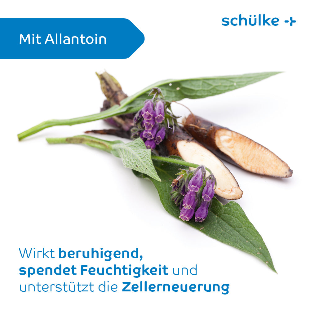 Das Bild zeigt eine aufgeschnittene Wurzel und einige frische violette Blüten auf grünen Blättern. Der Text lautet: „Mit Allantoin“, „Wirkt beruhigend, spendet Feuchtigkeit und unterstützt die Zellerneuerung“ mit dem Branding „Schülke & Mayr GmbH“. Schülke esemtan® Waschhandschuhe, 10er Pack | Packung (10 Handschuhe) für pflegebedürftige Patienten und ideal in Kombination mit Waschhandschuhen.